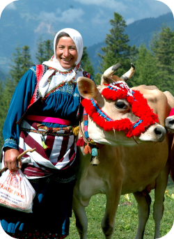 Balıklar